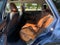 2020 Subaru Outback Touring